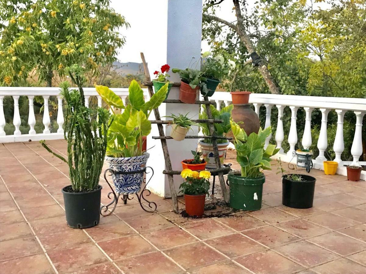 Casa Rural En Константіна Екстер'єр фото